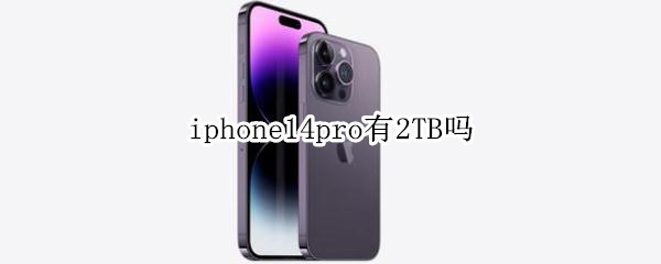 iphone14pro有2TB吗（iPhone12promax有256g吗）