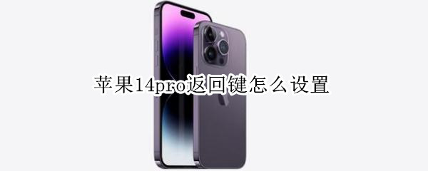 苹果14pro返回键怎么设置（iphone12promax怎么设置返回键）