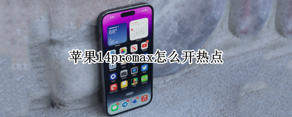 苹果14promax怎么开热点（苹果12promax热点怎么开）