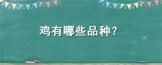 鸡有哪些品种 芦丁鸡有哪些品种