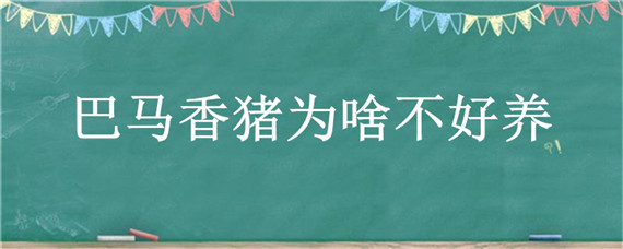 巴马香猪为啥不好养 巴马香猪好养活吗?