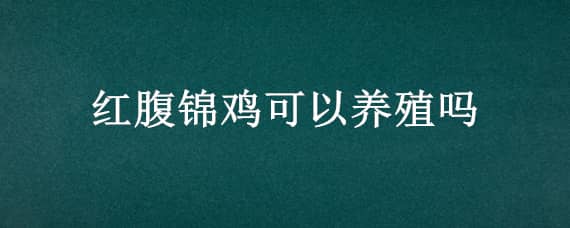 红腹锦鸡可以养殖吗（红腹锦鸡可以养殖吗有毒吗）