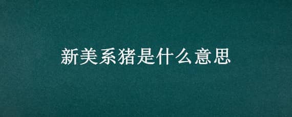 新美系猪是什么意思 新美系母猪和新加系母猪的区别