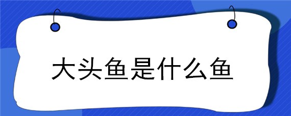 大头鱼是什么鱼 河里大头鱼是什么鱼