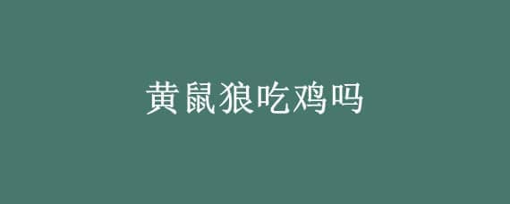 黄鼠狼吃鸡吗 黄鼠狼吃鸡的视频
