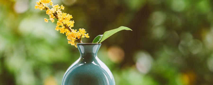 桂花酒怎么泡（桂花酒怎么泡最好喝）