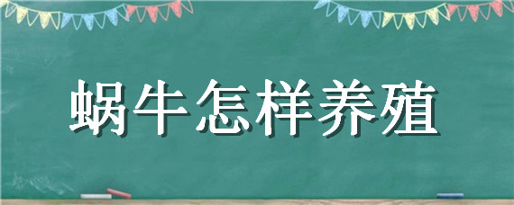 蜗牛怎样养殖 蜗牛怎样养殖和管理