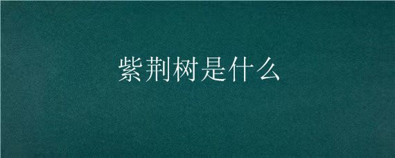 紫荆树是什么（紫荆树是什么科）