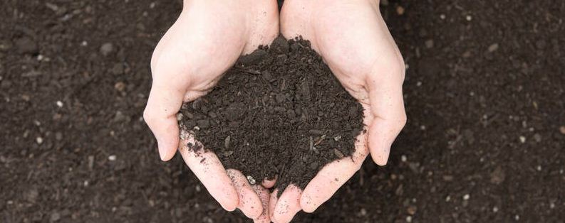 土壤肥力与哪些因素有关（土壤肥力与哪些因素有关( ）