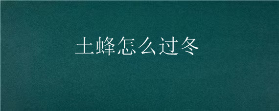 土蜂怎么过冬（土蜂过冬要必备什么）