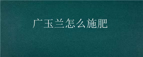 广玉兰怎么施肥（广玉兰施肥问题）