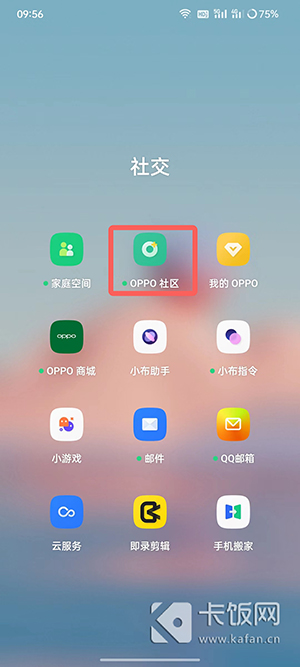 oppo维修空间怎么打开（oppo已用空间在哪里能找到）