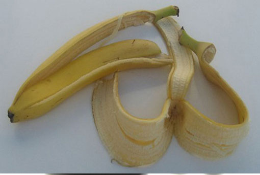 香蕉皮 香蕉皮怎么做肥料
