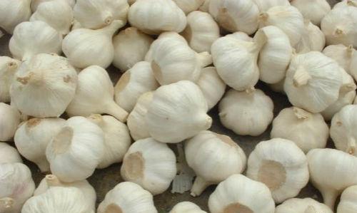 肠炎的偏方 治疗肠炎的偏方大全