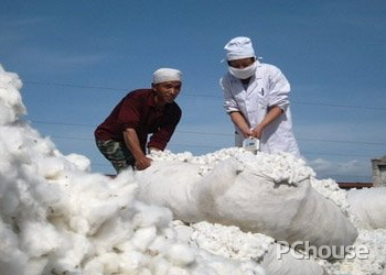 长绒棉的特点 长绒棉的特点及用途