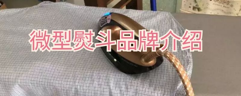 微型熨斗品牌介绍 微型熨斗品牌介绍怎么写