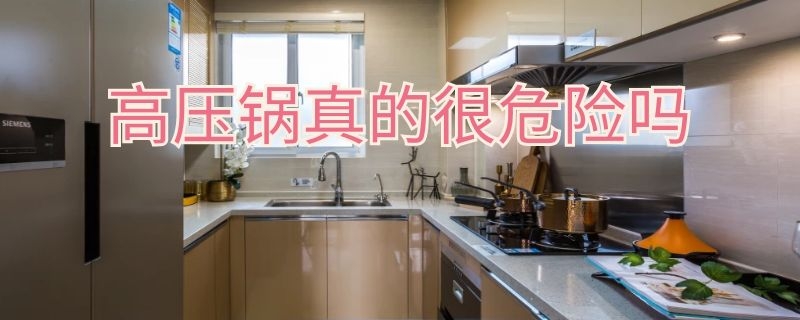 高压锅真的很危险吗 高压锅可怕吗