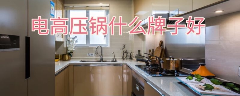 电高压锅什么牌子好 电高压锅什么牌子好用又实惠