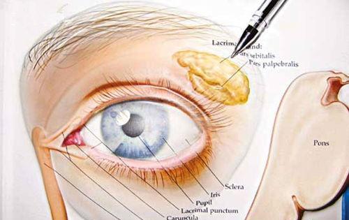 眼眶肿瘤的偏方（眼眶瘤的治疗方法）