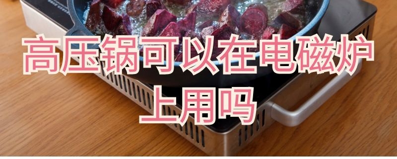 高压锅可以在电磁炉上用吗（铝制高压锅可以在电磁炉上用吗）