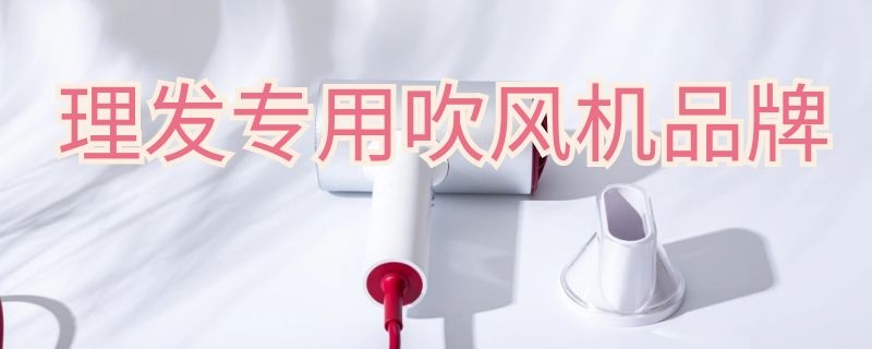 理发专用吹风机品牌 理发专用吹风机品牌排行榜