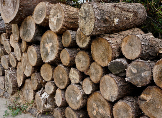 橡胶木：让环保伴随一生 橡胶木家具环保吗