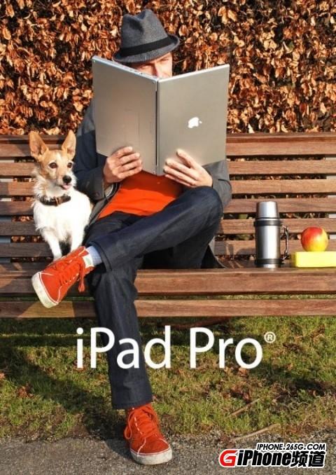 12.9寸iPad（12.9寸ipad长宽是多少厘米）