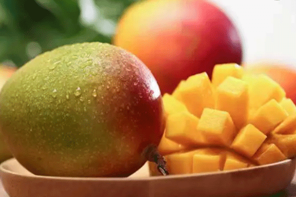 芒果怎样保存可以放得更久 芒果可以放进冰箱吗