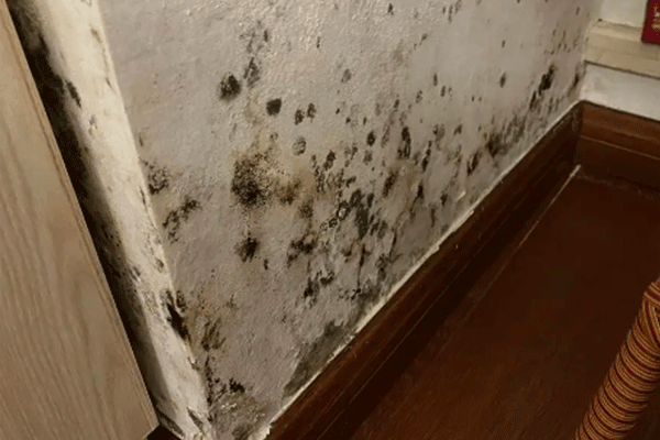 房子墙面发霉有哪些原因 家具发霉潮湿怎么办