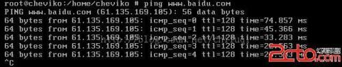 VMware中FreeBSD系统采用NAT方式上网