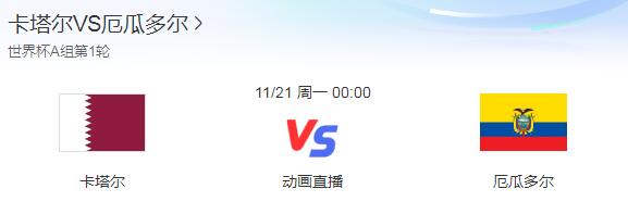 世界杯卡塔尔vs厄瓜多尔谁能赢（欧洲杯阿根廷vs厄瓜多尔）