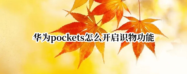 华为pockets怎么开启识物功能(pocket2华为share)