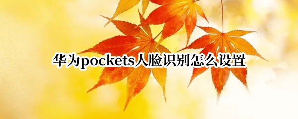 华为pockets人脸识别怎么设置(pocket2如何人脸跟踪)