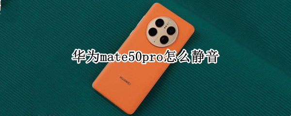 华为mate50pro怎么静音 华为mate 30 pro怎么静音