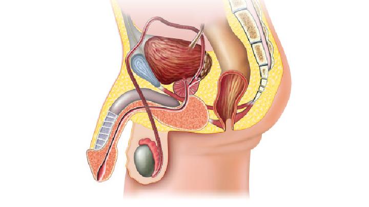 经常吃什么食物会导致男性阳痿