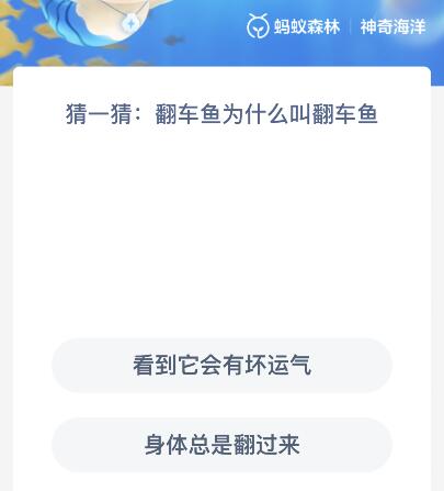 翻车鱼为什么叫翻车鱼（翻车鱼为什么叫翻车鱼?）