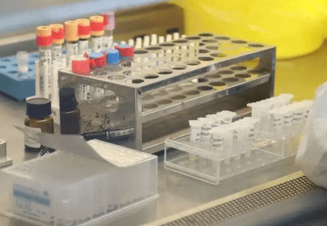 截至12月11日24时新型冠状病毒肺炎疫情最新情况    