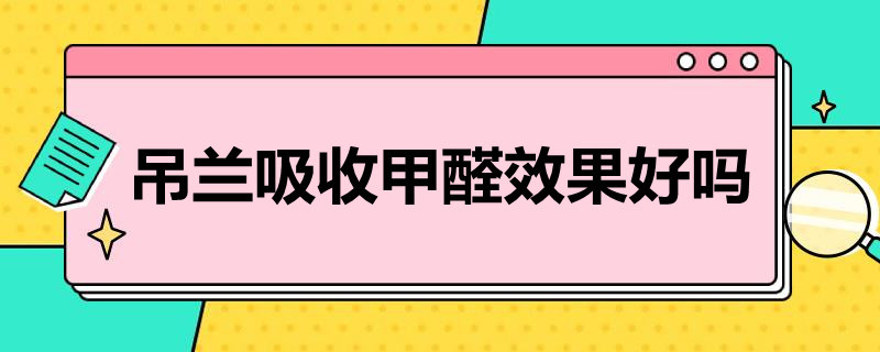 吊兰吸收甲醛效果好吗（吊兰能吸收甲醛吗有科学依据吗）