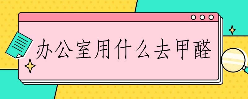 办公室用什么去甲醛 办公室放什么去甲醛