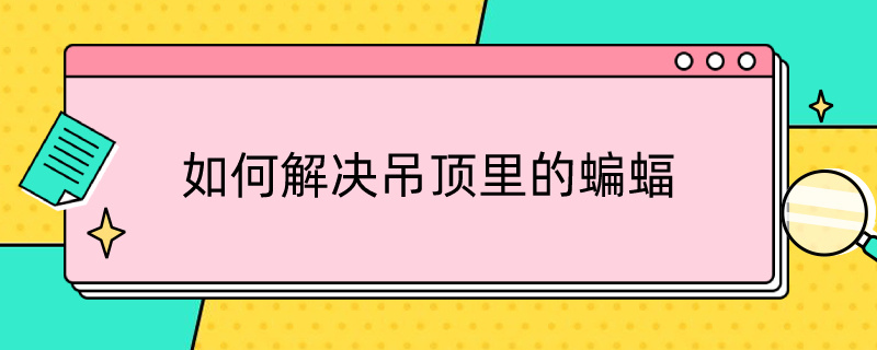 如何解决吊顶里的蝙蝠（如何解决吊顶里的蝙蝠呢）