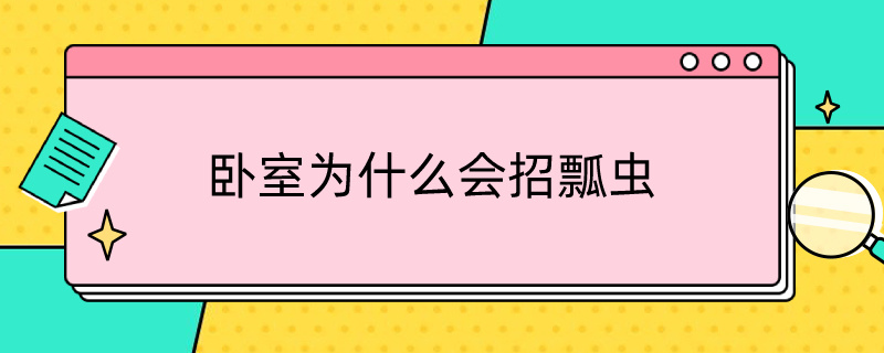 卧室为什么会招瓢虫 卧室为什么会招瓢虫虫子