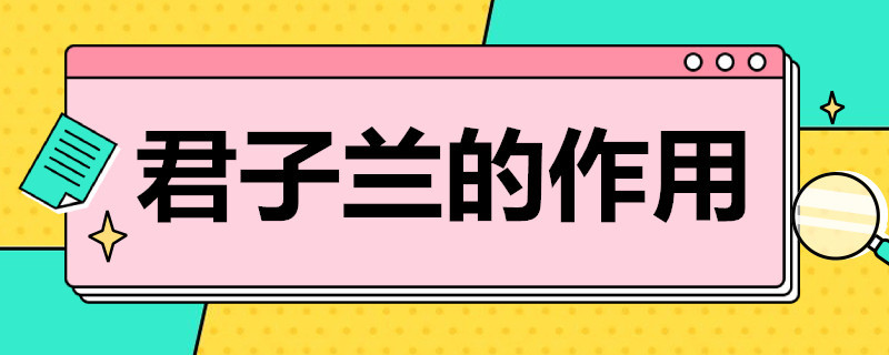 君子兰的作用（钾肥对君子兰的作用）