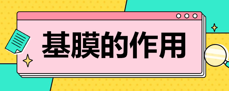 基膜的作用 墙壁基膜的作用