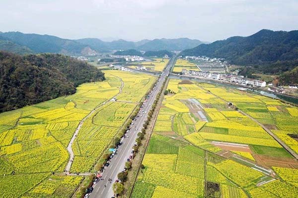 集体土地包括哪些土地 集体用地和宅基地区别 集体土地上房屋征收与补偿条例2020