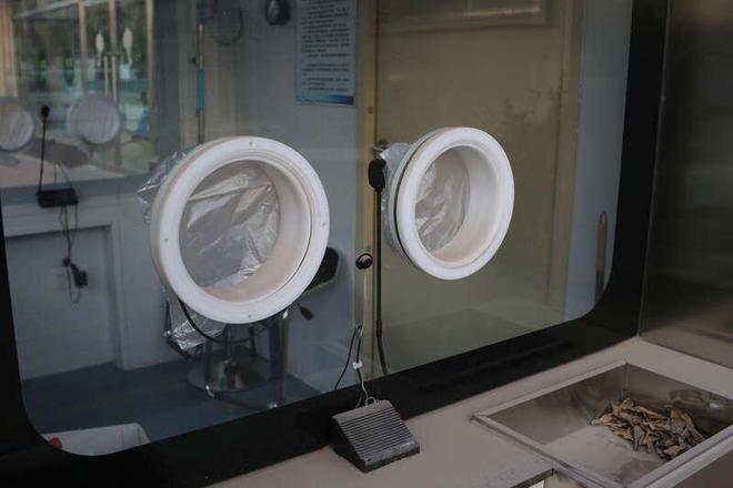 河北保定正在痛中恢复