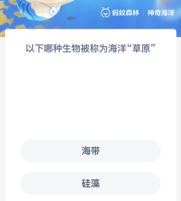 以下哪种生物被称为海洋“草原”（下列哪种植物不是海洋植物）