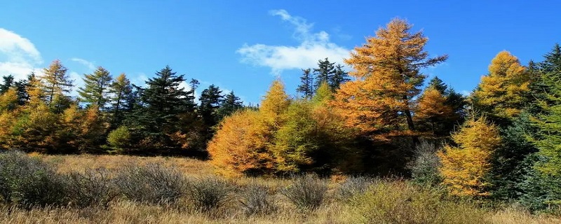 宁武县景点（宁武县的景点）