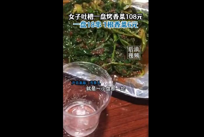 女子吐槽烧烤店一盘香菜108元(烧烤有香菜吗)