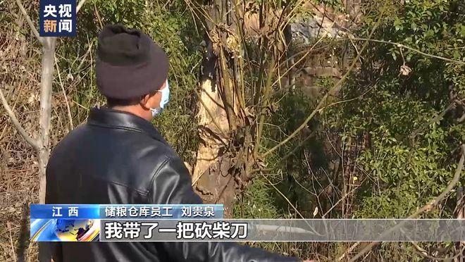 总台记者调查:胡某宇的尸体被发现现场情况