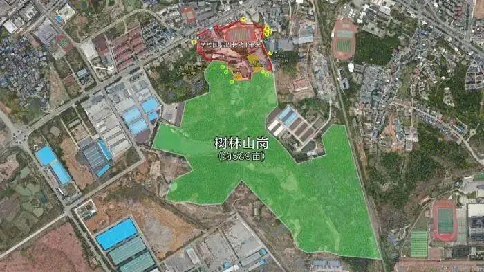 胡鑫宇缢吊地点为何成搜索盲区？